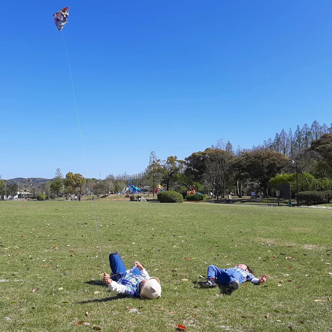 「カイト、大空に舞う」 公園で2人の子どもが寝転びながら凧を飛ばしている写真