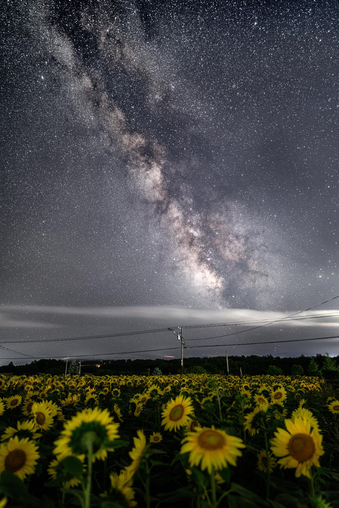 思わず振り返ってしまうような星空