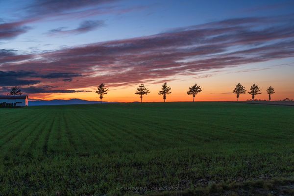 「夕暮れの丘」 夕暮れ時のメルヘンの丘の写真