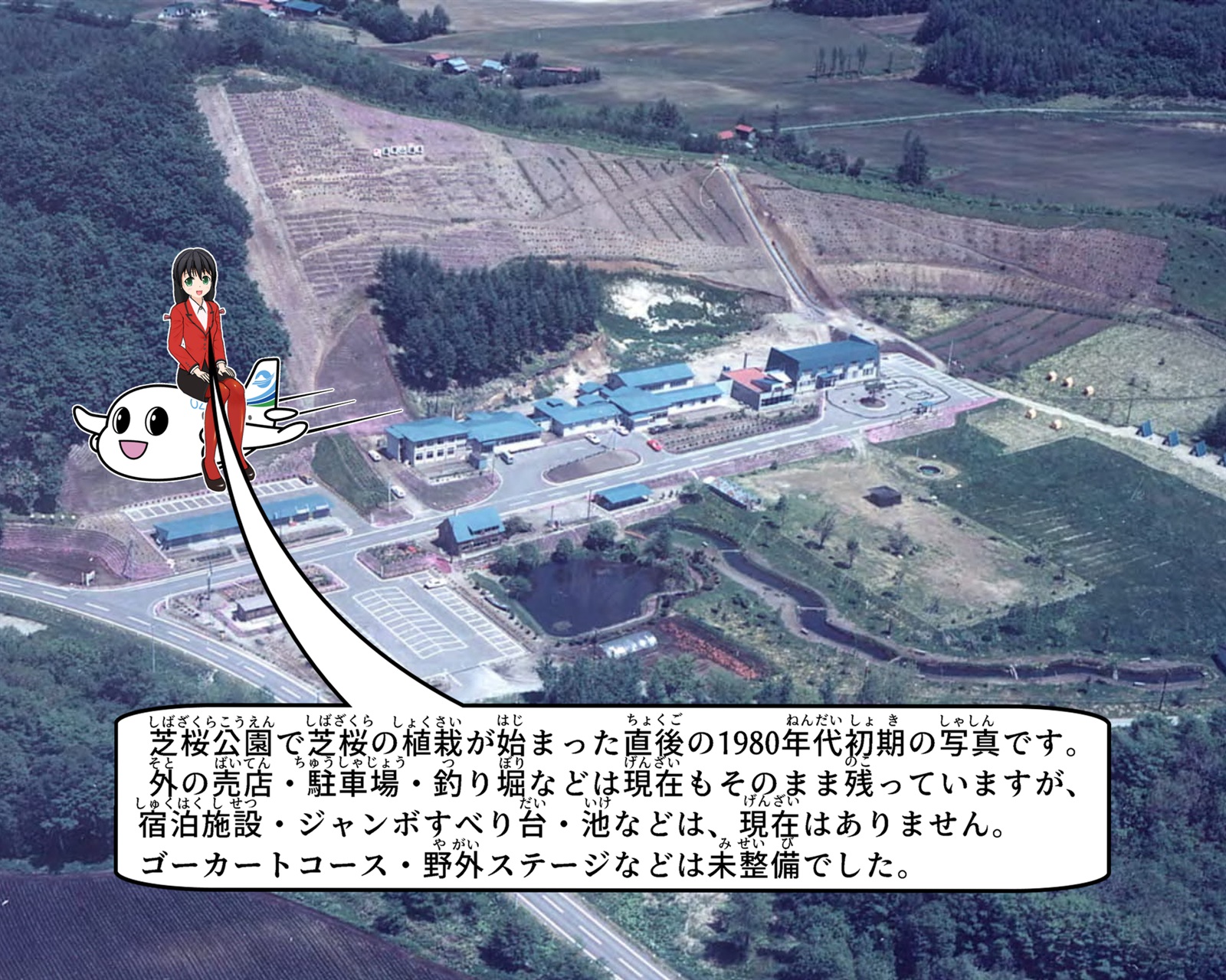 芝桜植栽開始が始まった直後の芝桜公園の航空写真について説明しているイラスト