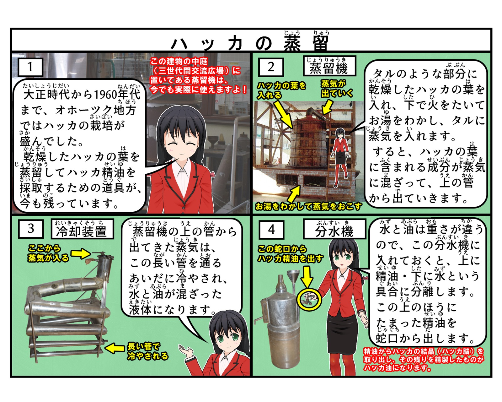 ハッカの蒸留について説明をしている4コマイラスト