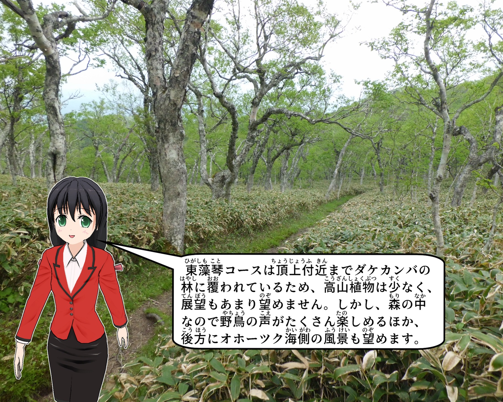 藻琴山登山道東藻琴コースについて説明をしているイラスト