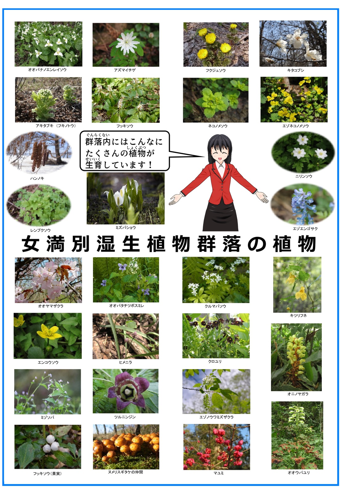 湿地に生育し植物群落を構成する多くの植物をまとめて載せた写真について説明をしているイラスト