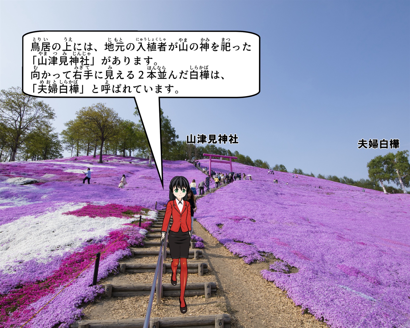 鳥居と山津見神社と夫婦白樺について説明しているイラスト