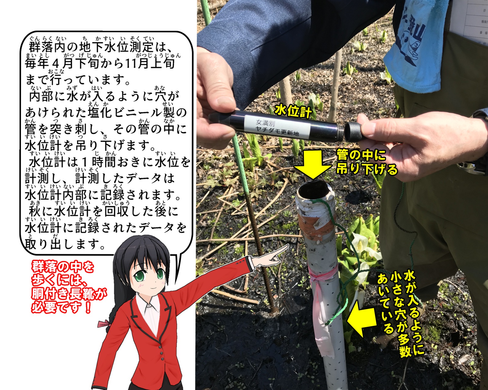 湿生植物群落の水位計設置状況について説明をしているイラスト