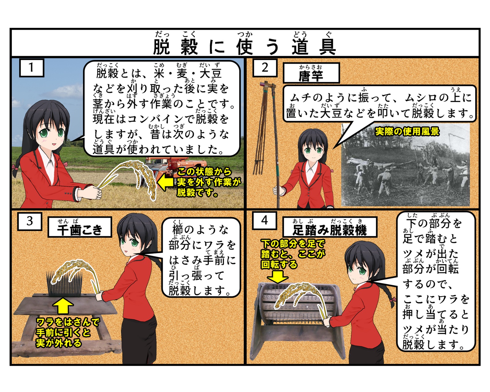 脱穀に使う道具について説明をしているkラスト