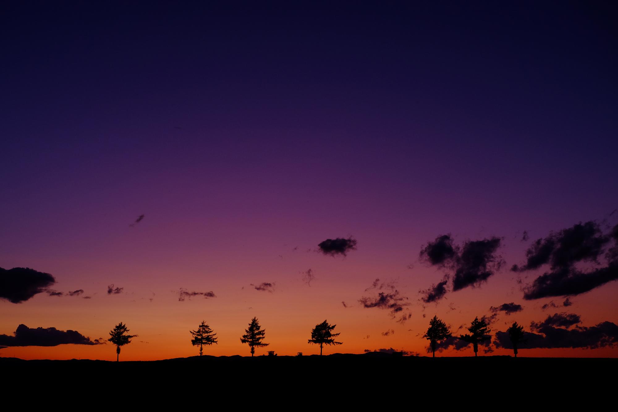 夕焼けと夜のグラデーションの空と木々のシルエットの様子を捉えた写真