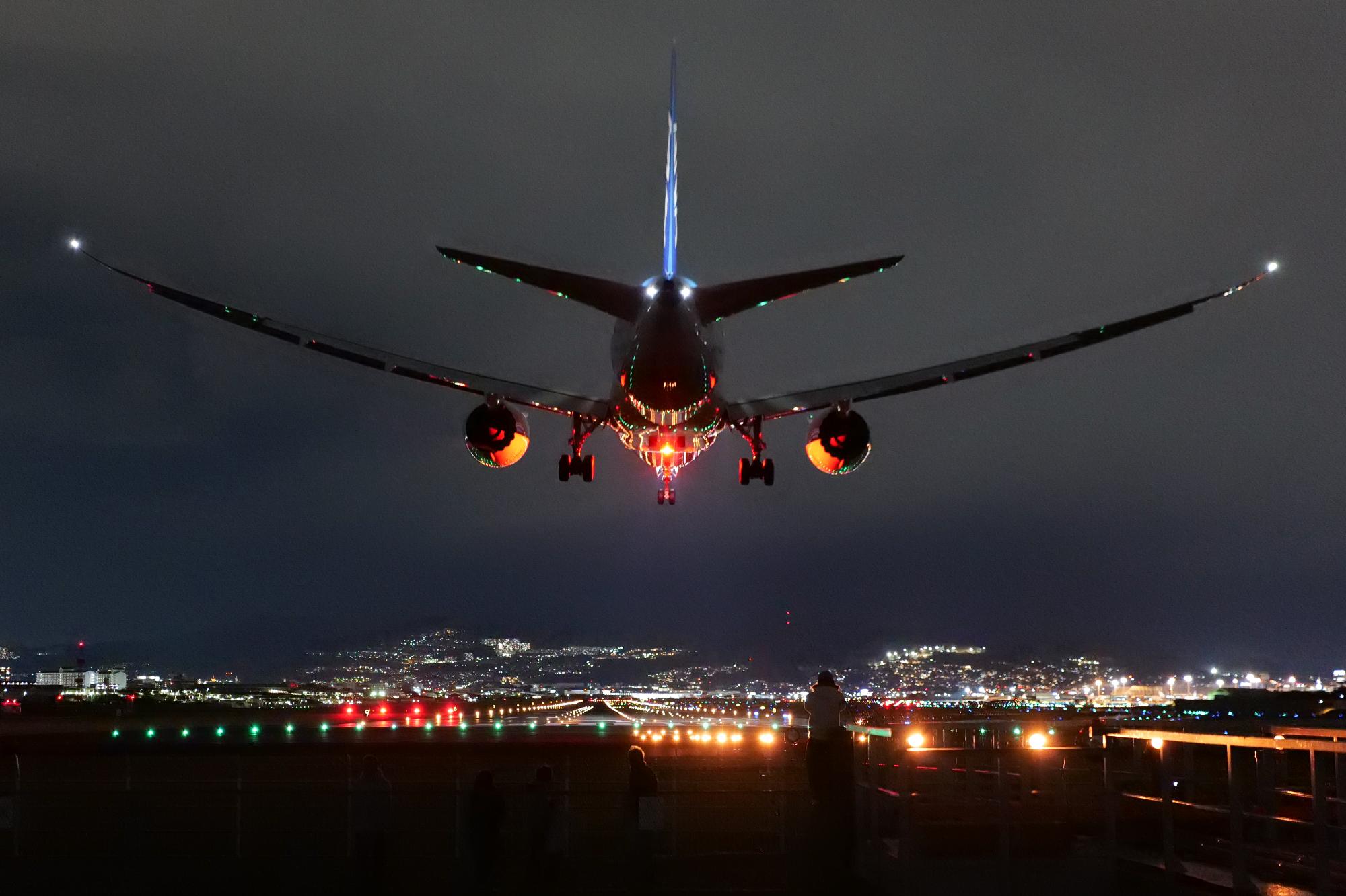 闇夜に照らされた滑走路へ着陸する飛行機の様子を真後ろから捉えた写真