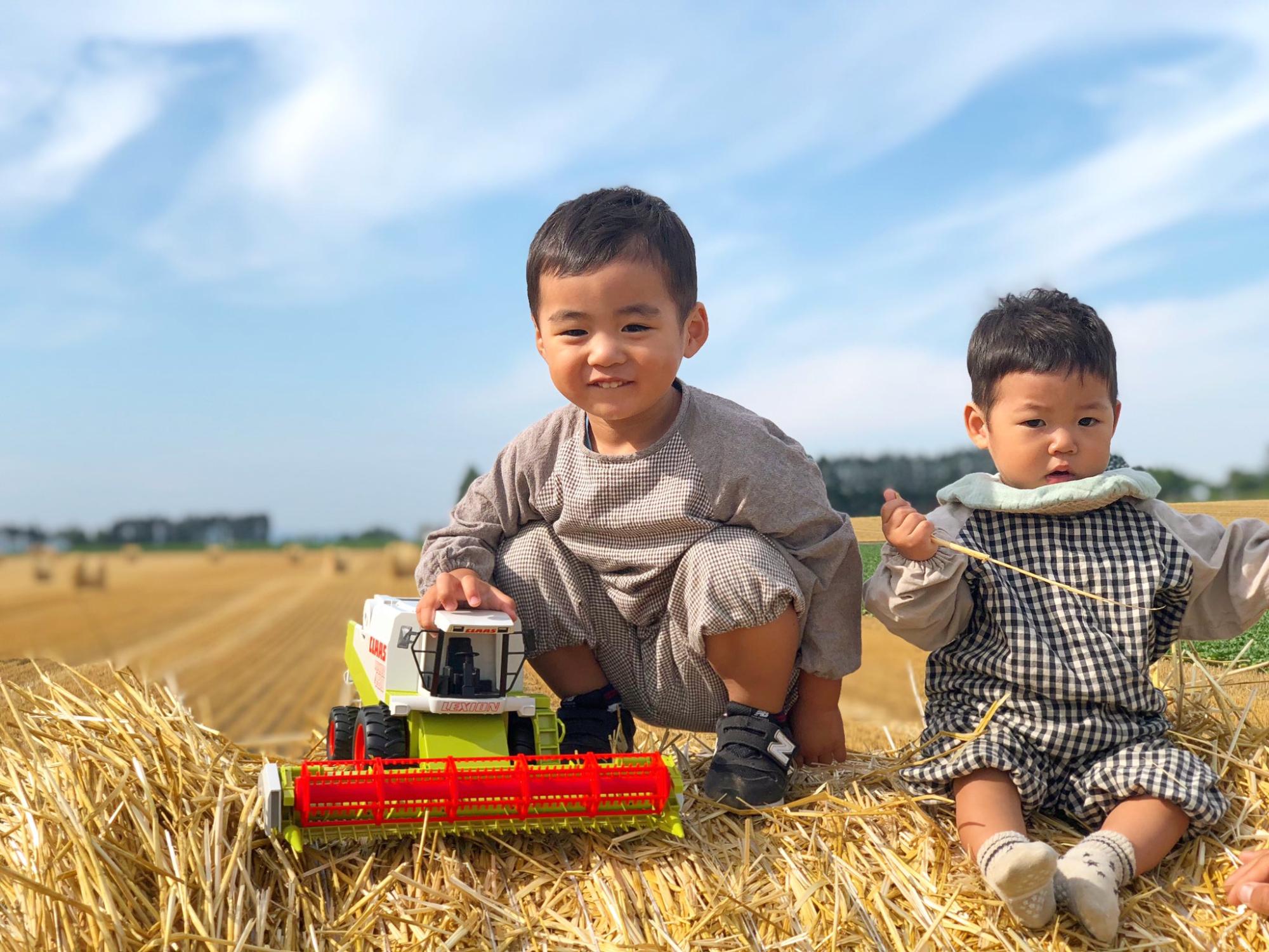 刈り取られた小麦の束の上で、おもちゃのコンバインを持つ兄と小麦の茎を持つ弟の様子を捉えた写真