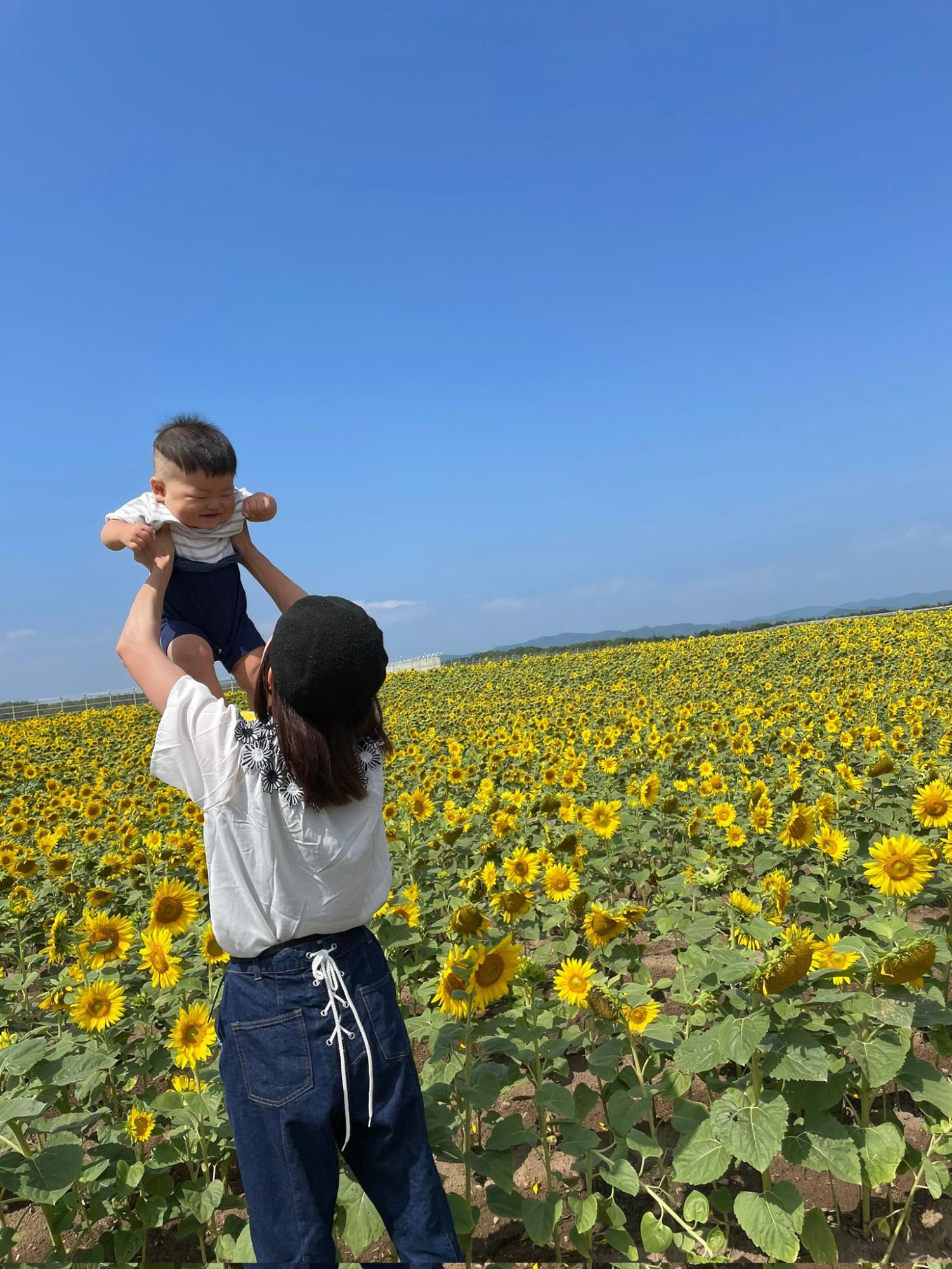 一面に咲いているひまわり畑で子どもを上に掲げている女性の様子を捉えた写真