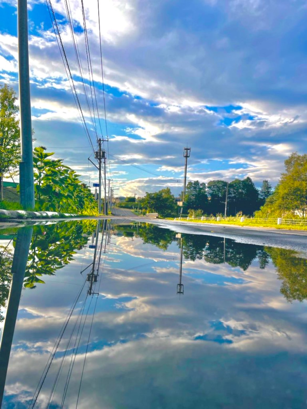 道路一面に広がった水たまりに空の様子が映されている様子を捉えた写真