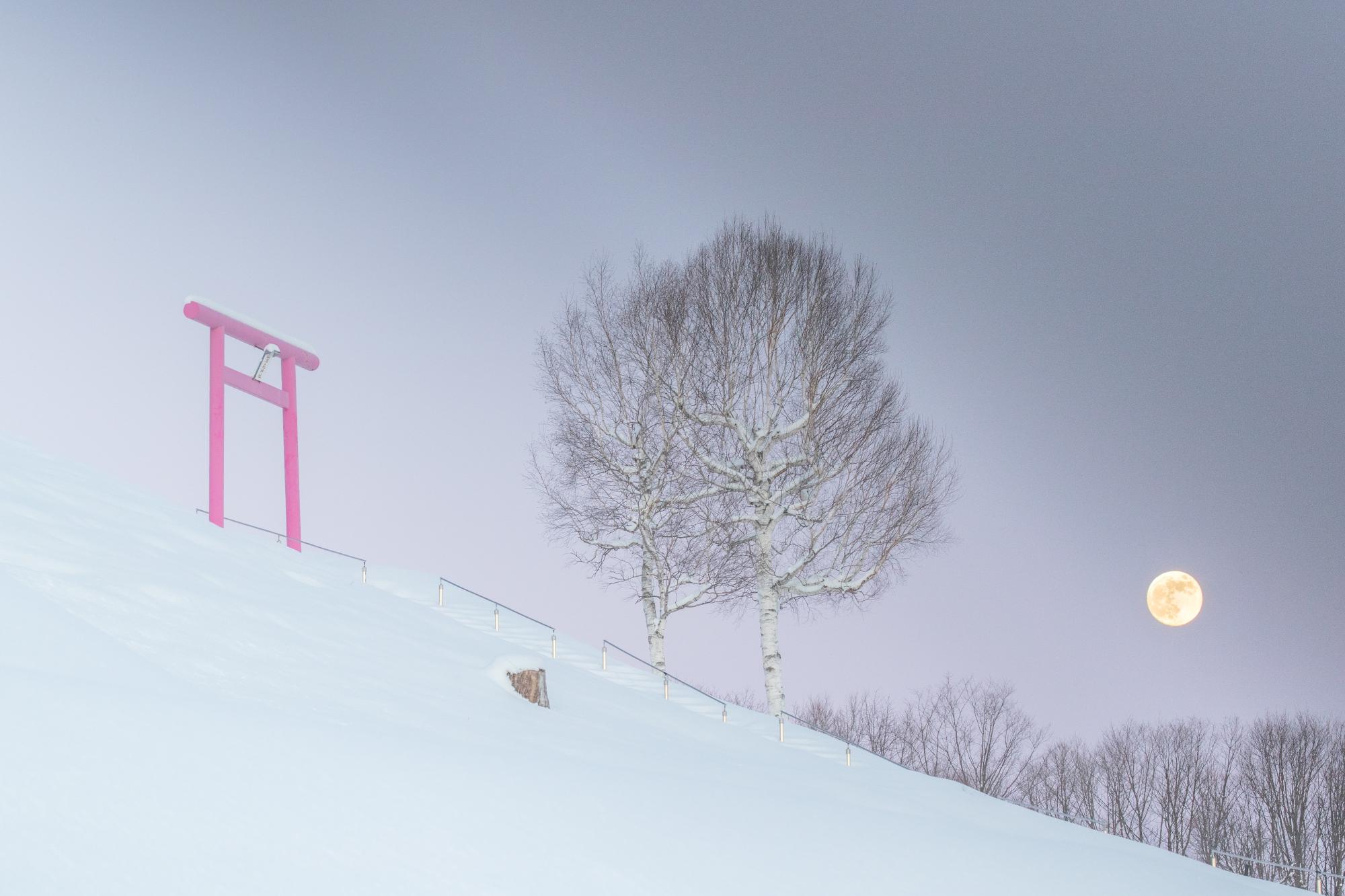 雪の斜面に赤い鳥居と木立が並んでいてその上空に満月がある様子の写真