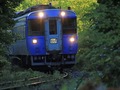 森の中を走る青い列車の写真