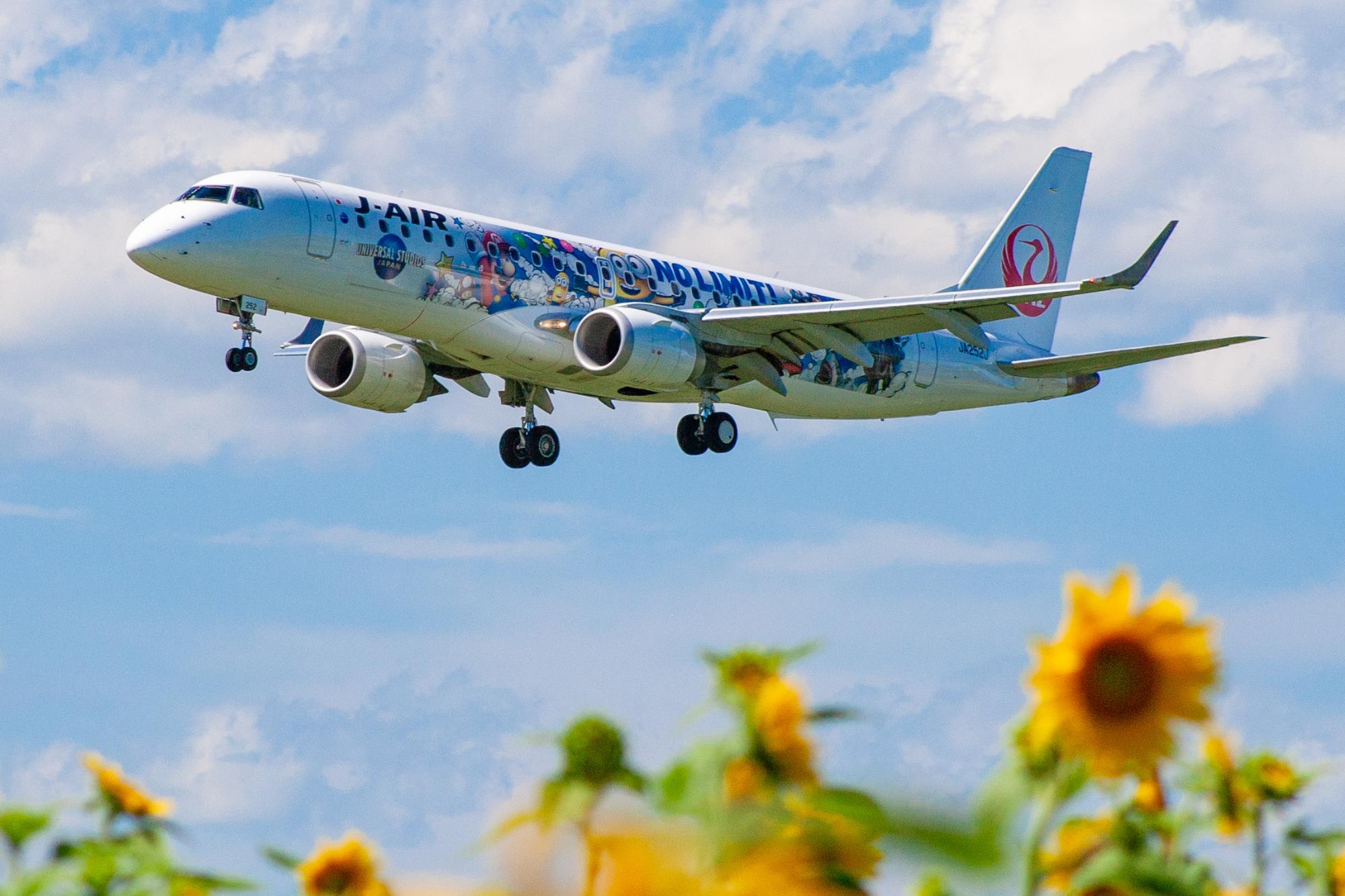 「いざタッチダウン」 ひまわり畑のすぐ後ろで飛行機が着陸する様子を写した写真