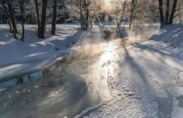 近隣に咲く冬の華