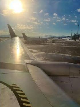 翼に射す冬の朝日