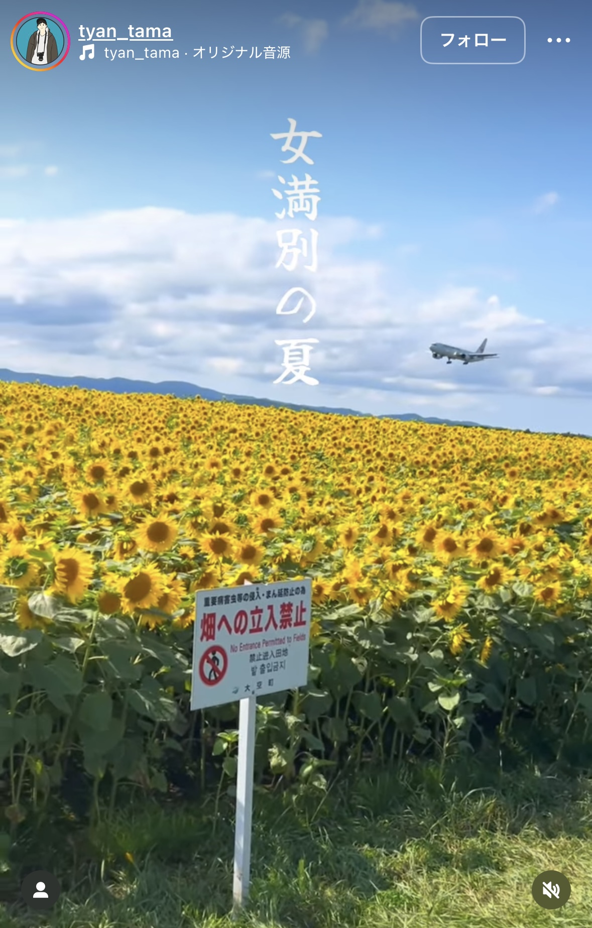 リール動画