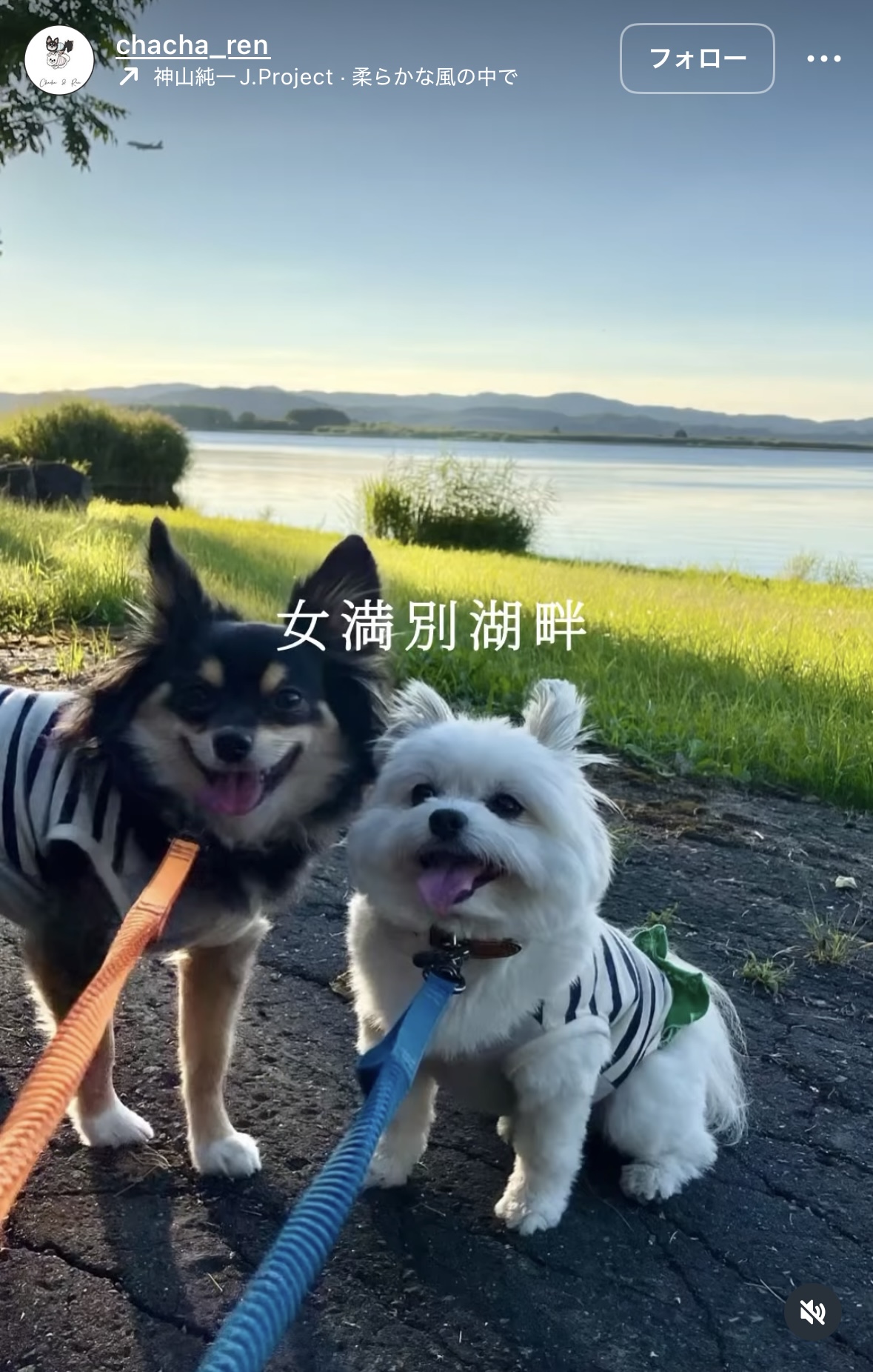 リール動画部門
