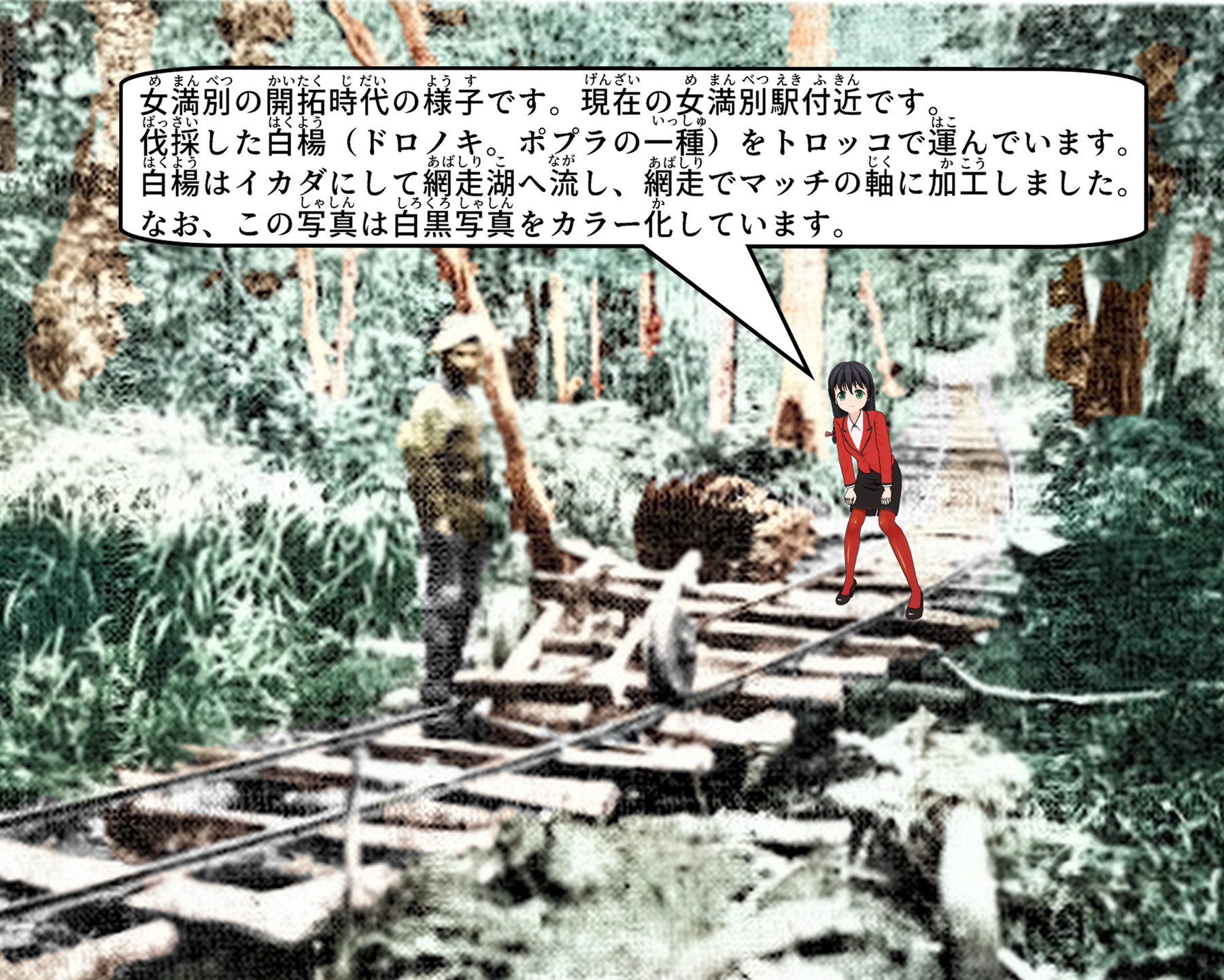 女満別の開拓時代に現在の女満別駅付近で白楊の木をトロッコに積んで運ぶ様子を説明しているイラスト