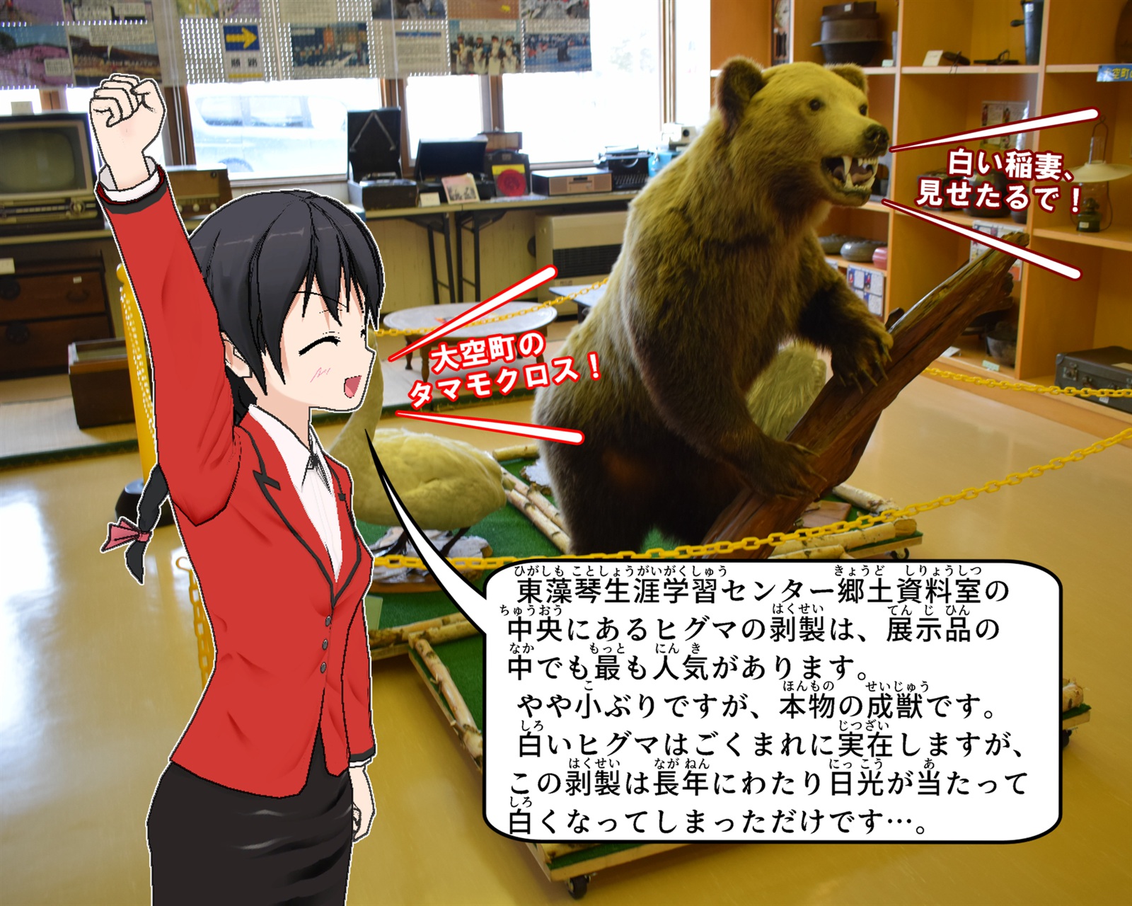 東藻琴生涯学習センター郷土資料室で展示している熊の剥製について説明をしているイラスト