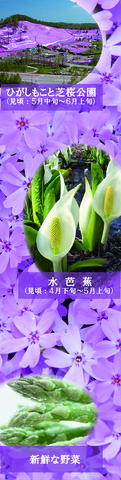 花を背景に、ひがしもこと芝桜公園（見頃：5月中旬～6月上旬）、水芭蕉（見頃：4月下旬～5月上旬）、新鮮な野菜のレイアウト写真