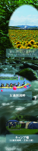 森を背景に、夏に咲くひまわり（見頃；8月上旬～9月下旬）、女満別湖畔、キャンプ場（女満別湖畔・芝桜公園）のレイアウト写真