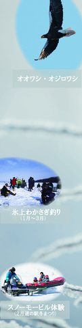 雪原を背景に、オオワシ・オジロワシ、氷上わかさぎ釣り（1月～3月）、スノーモービル体験（2月道の駅冬まつり）のレイアウト写真