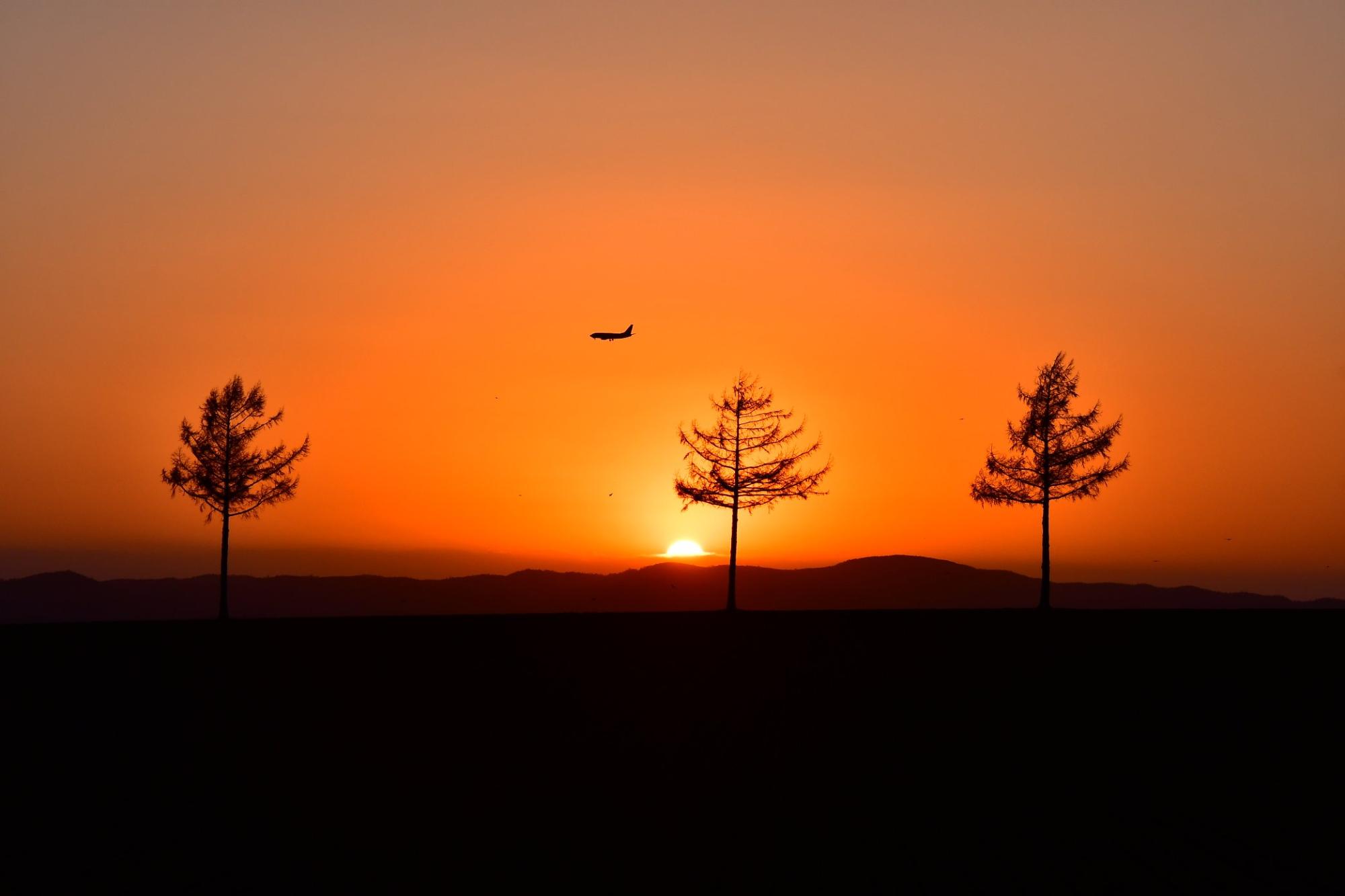 丘に沈んでゆく夕日と三本の木と飛行機のシルエットを捉えた写真