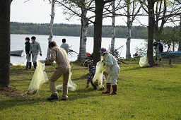 湖畔の芝生に落ちているごみを黄色いゴミ袋に入れている参加者たちの写真