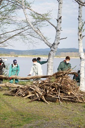 湖畔で枯木を持ち上げている3人の男性参加者と枯木が集められている様子の写真