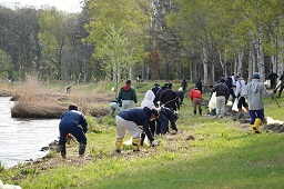湖畔の芝生に落ちているごみをかがんで拾っている参加者や黄色いゴミ袋に入れている参加者たちの写真