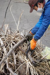 拾い集められた枯木を手袋をつけて一箇所にまとめている男性参加者の写真