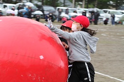 赤い帽子をかぶった女子小学生たちがグラウンドで赤い大玉を転がしている写真