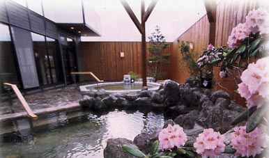 3種類の露天風呂とピンクの花の写真