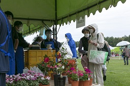 青いエプロン姿の店員がいる花屋で鉢植えの花を見ているお客さんの写真