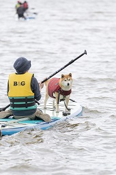 水面に浮いている一人用ボードに座っている人と一匹の犬の写真