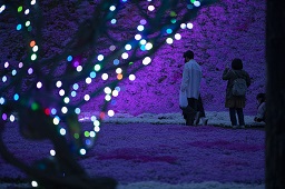 ライトアップされている花を見ている2人とイルミネーションされた枝の写真