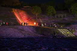 ライトアップされている木でできた階段とそれを見上げている観光客たちの写真