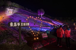 東藻琴芝浜公園の看板とハートの形に並べられたランタンとライトアップされた一面の花と鳥居の写真