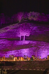 ピンク色にライトアップされている一面の花々と2本の木を見上げている観光客の写真