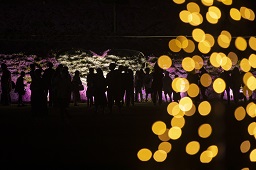 ライトアップされている花を見ている観光客とイルミネーションされた枝の写真