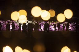 ライトアップされている花を見ている観光客とイルミネーションされた枝の写真その2