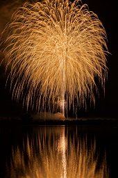 闇夜に黄色い打ち上げ花火が咲いている様子の写真