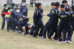 グラウンドで緑のはちまきを着けた中学生チームが橙色のはちまきを着けた中学生チームと綱引きをしている写真