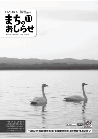 まちのおしらせ11月号表紙