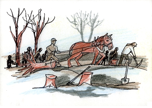 木の根が出てきている競馬場を整備している人達と馬を引いて木を運んでいるイラスト