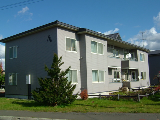 青空を背景に目の前に二階まで届きそうな木のある二階建て住宅の写真