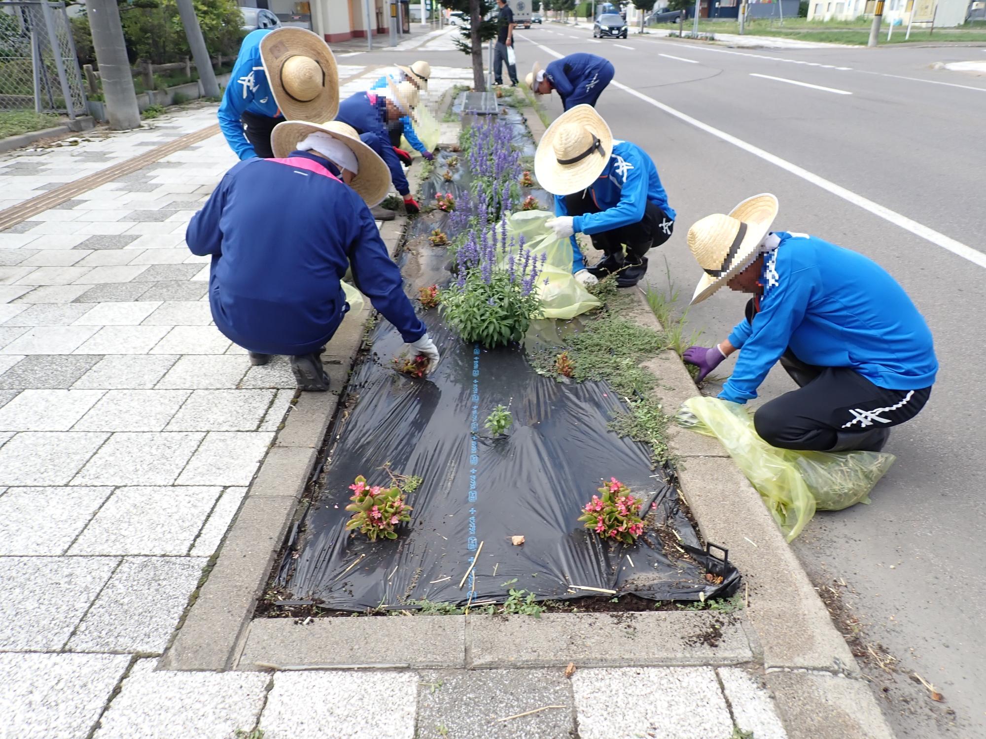 除草作業