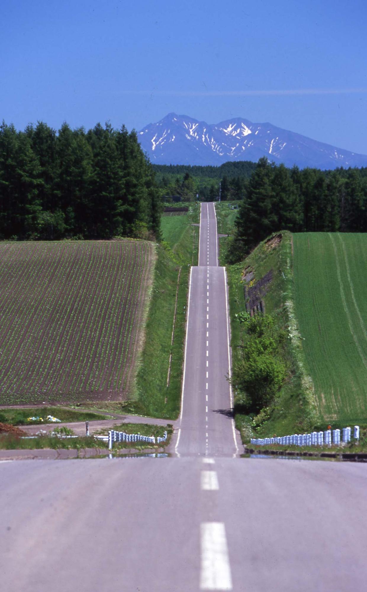 斜里岳を背景に直線道路と緑の山々が並ぶ写真