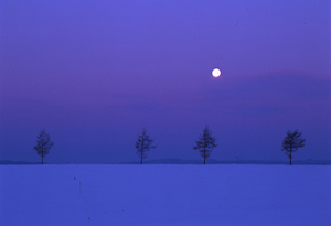 薄紫色に染まる夜空と大地の上に真っ白な一つの月が浮かぶ幻想的な写真